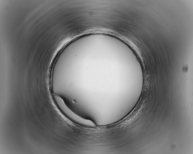 X0000098090997200805021041