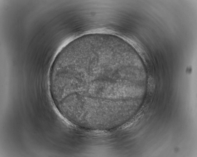 X0000098090998200805021041