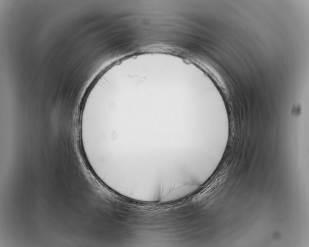 X0000098091000200805021041