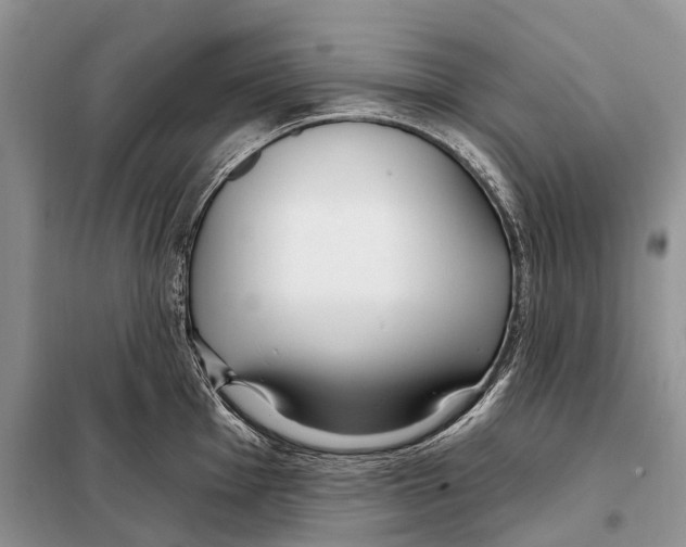 X0000098091001200805021041