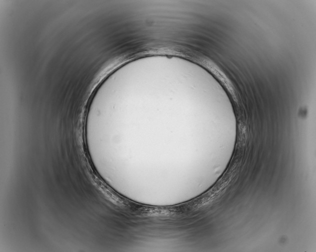 X0000098091002200805021041