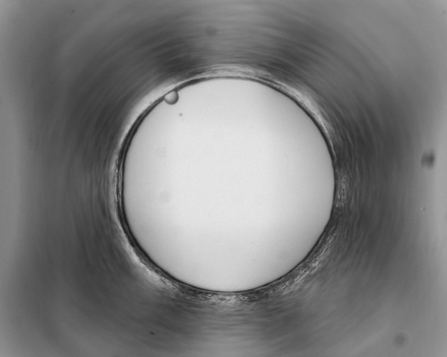 X0000098091003200805021041