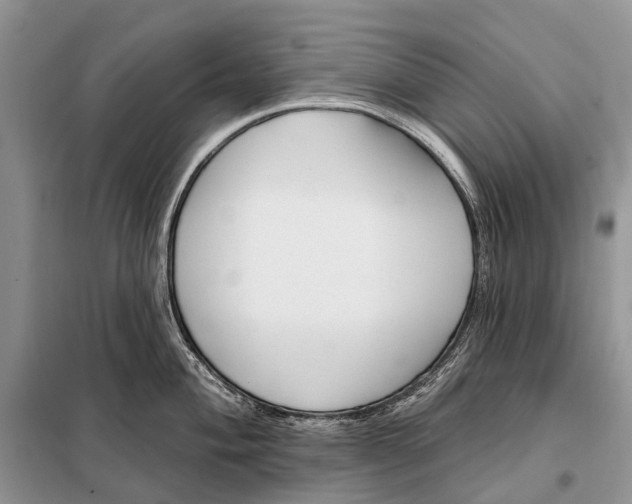 X0000098091004200805021041