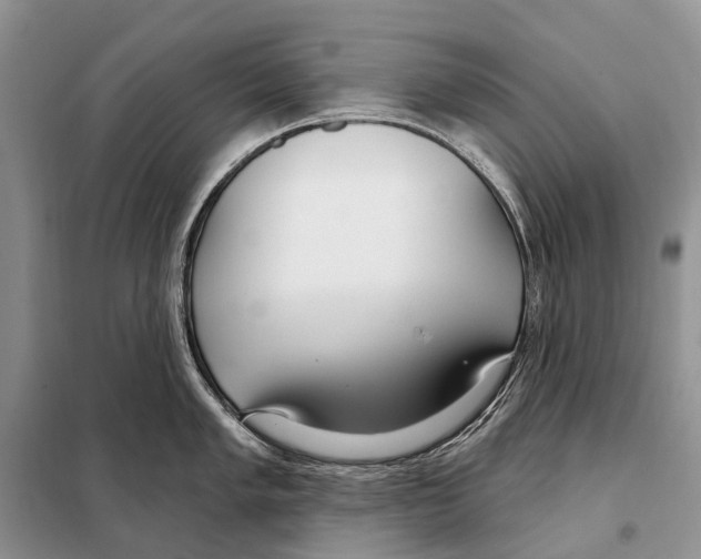 X0000098091005200805021041