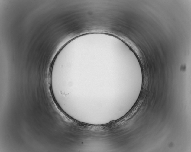 X0000098091006200805021041