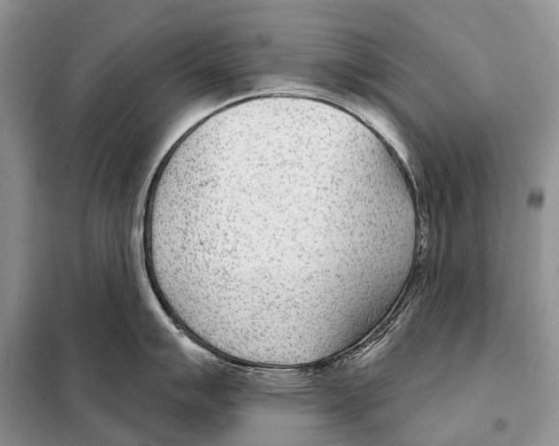 X0000098091007200805021041