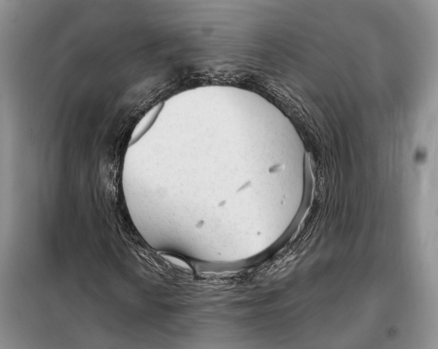 X0000098091010200805021040