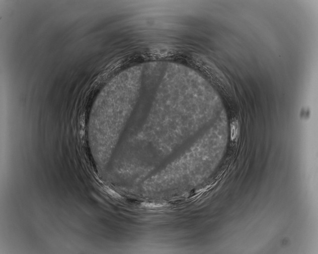 X0000098091011200805021040