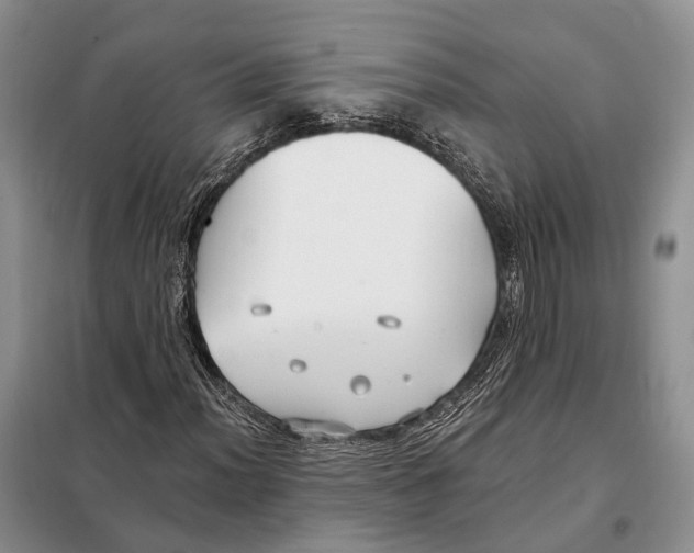 X0000098091012200805021040