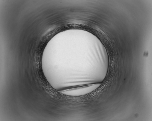 X0000098091014200805021040