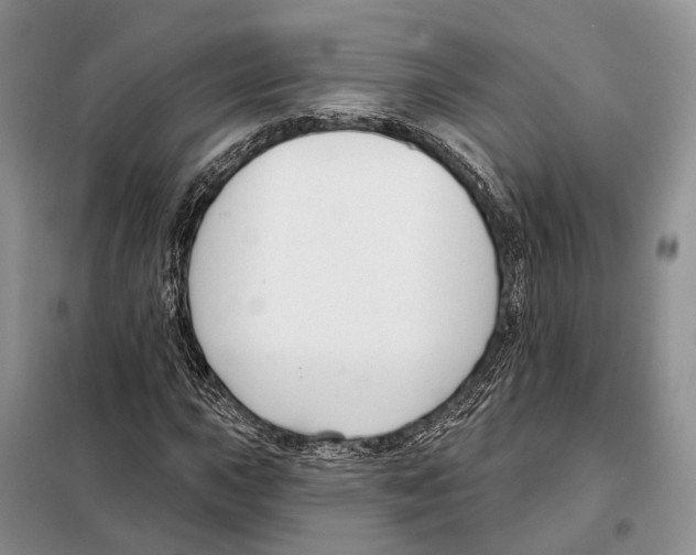 X0000098091015200805021040