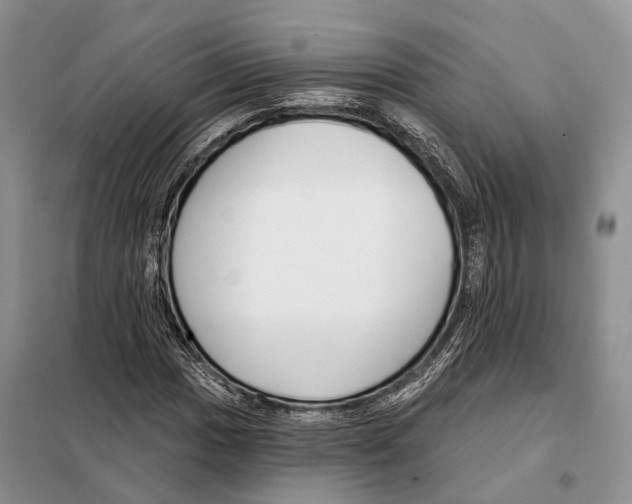 X0000098091017200805021040