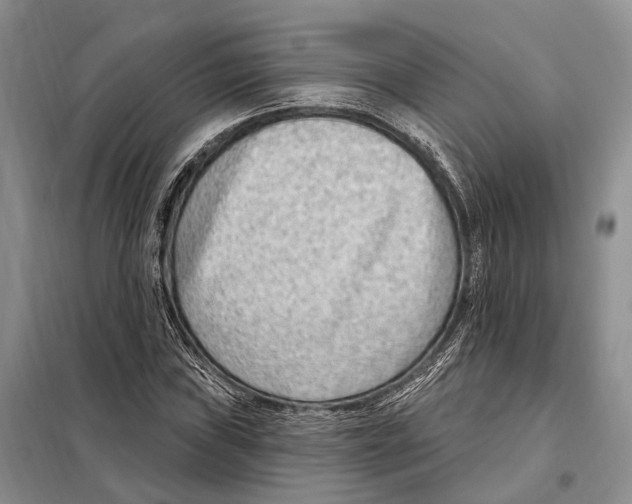 X0000098091019200805021040