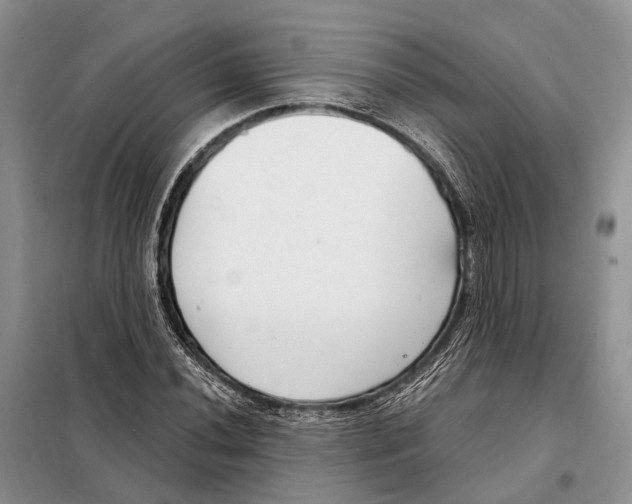 X0000098091020200805021040