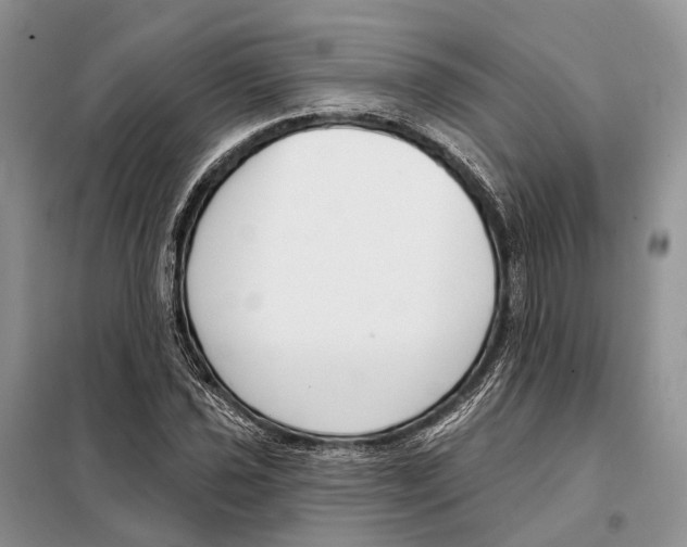 X0000098091021200805021040