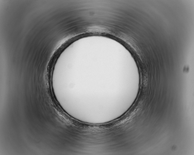 X0000098091022200805021040