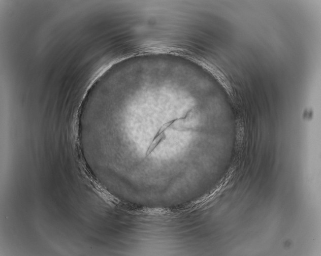 X0000098091023200805021040