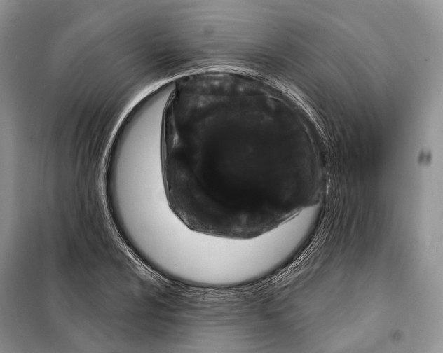 X0000098091024200805021040