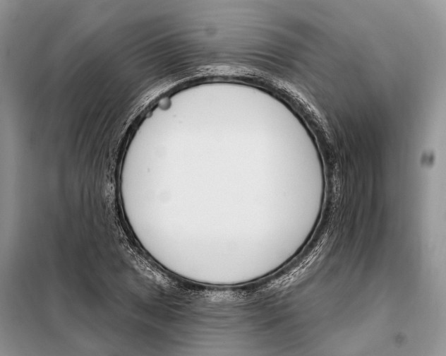 X0000098091025200805021040