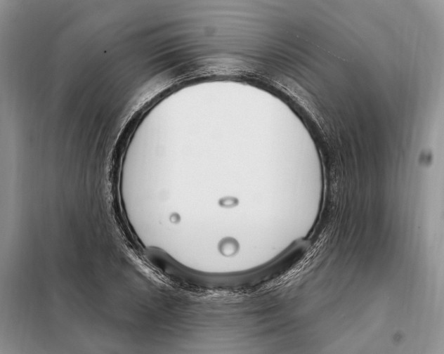 X0000098091026200805021040