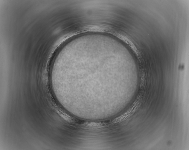 X0000098091027200805021040