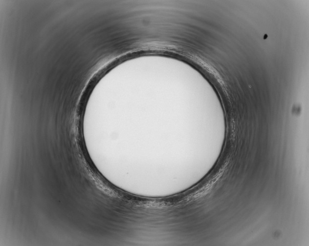 X0000098091029200805021040