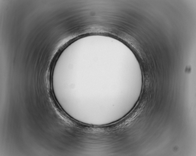 X0000098091030200805021040