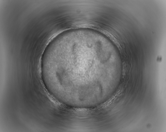 X0000098091031200805021041