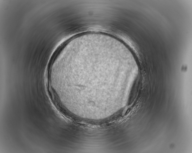 X0000098091032200805021041