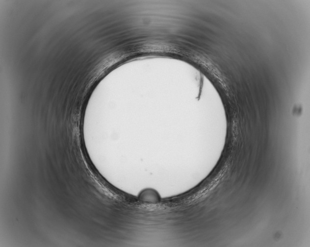 X0000098091033200805021041