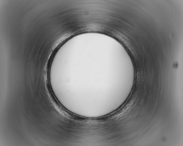 X0000098091034200805021041