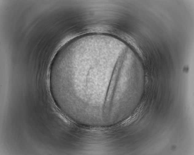 X0000098091035200805021041