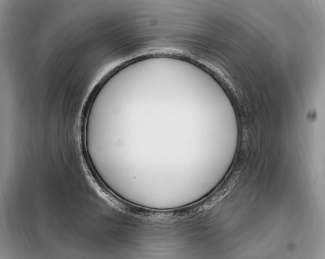 X0000098091038200805021041