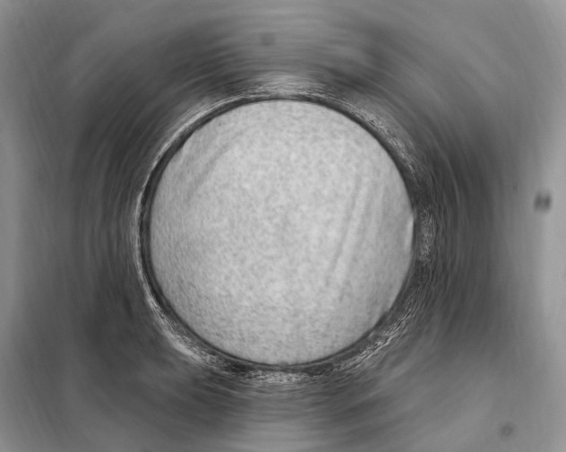 X0000098091039200805021041