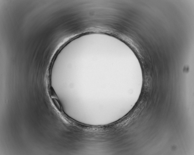 X0000098091040200805021041