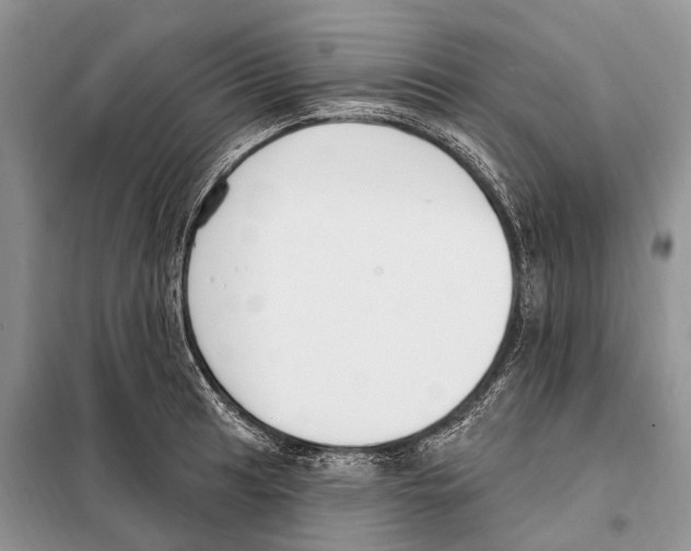 X0000098091041200805021041