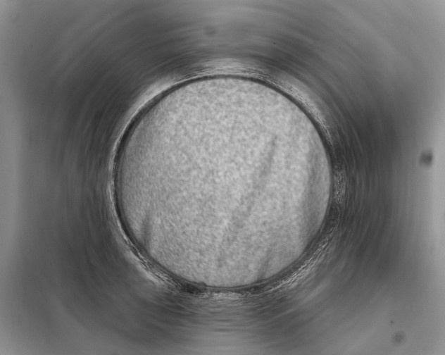 X0000098091043200805021041