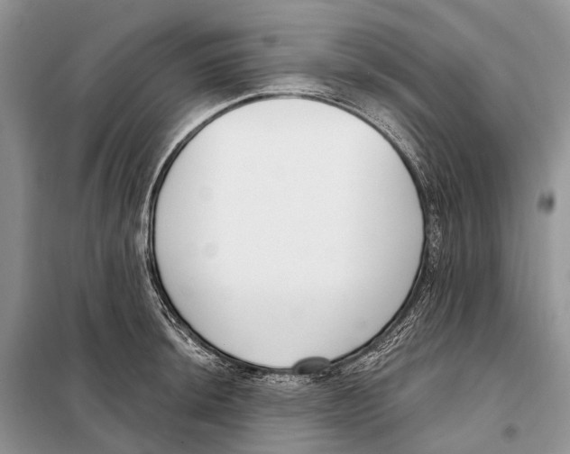 X0000098091044200805021041