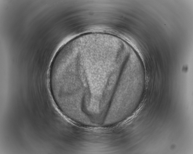 X0000098091045200805021041