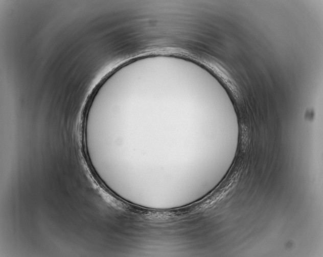 X0000098091046200805021041