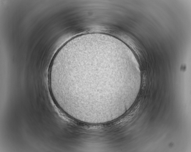 X0000098091047200805021041