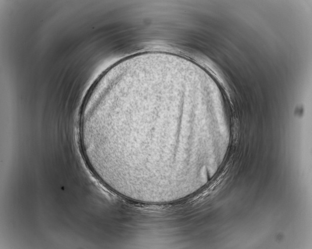 X0000098091048200805021041