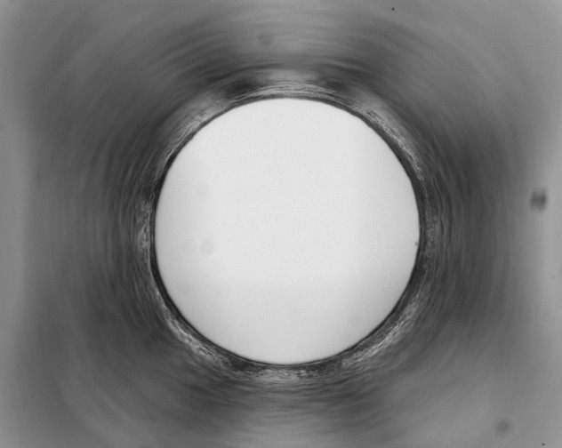 X0000098091049200805021041