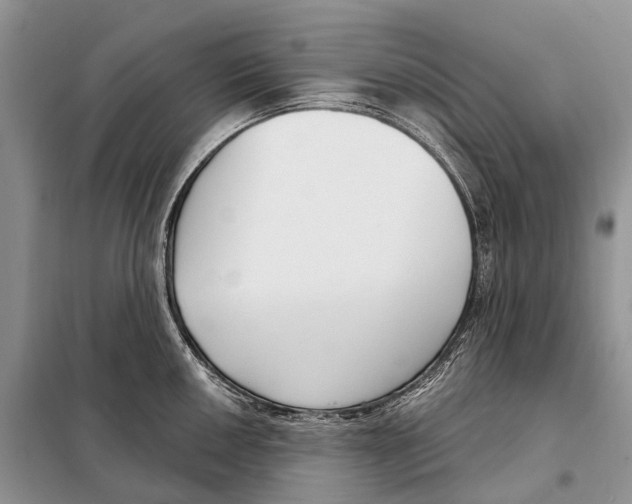 X0000098091050200805021041