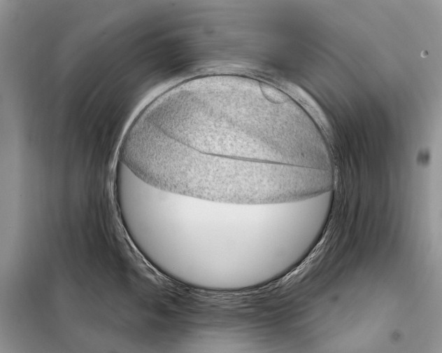 X0000098091052200805021041