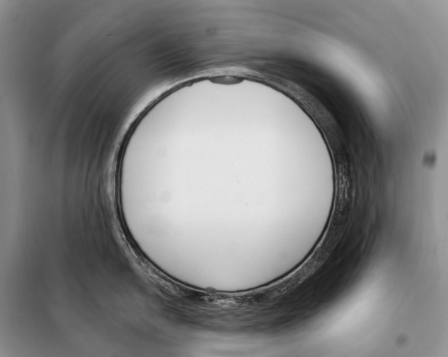 X0000098091054200805021041