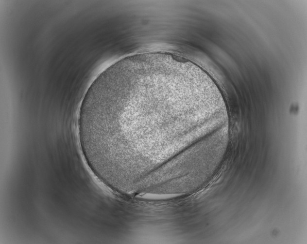 X0000098091055200805021041