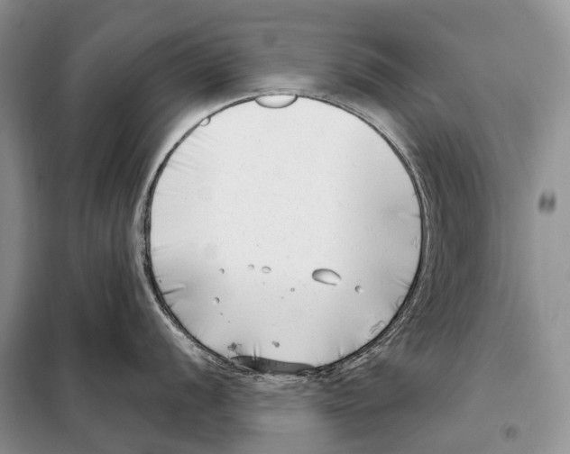 X0000098091056200805021041