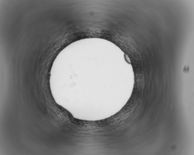 X0000098091057200805021040