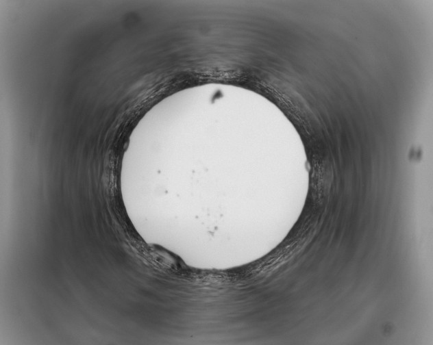 X0000098091058200805021040